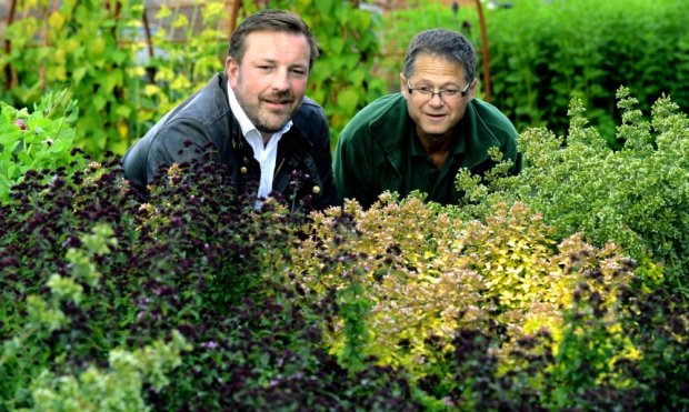 Manfaat Hobby Berkebun yang Perlu kamu Tahu…!