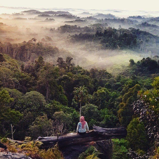 Batu Dinding Hill, Kutai Kartanegara, East Kalimantan