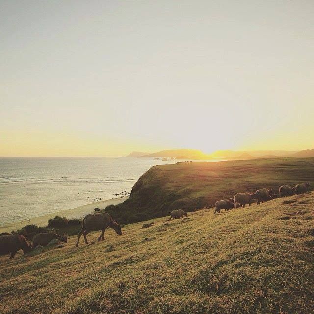 Bukit Meresee, Lombok, NTB