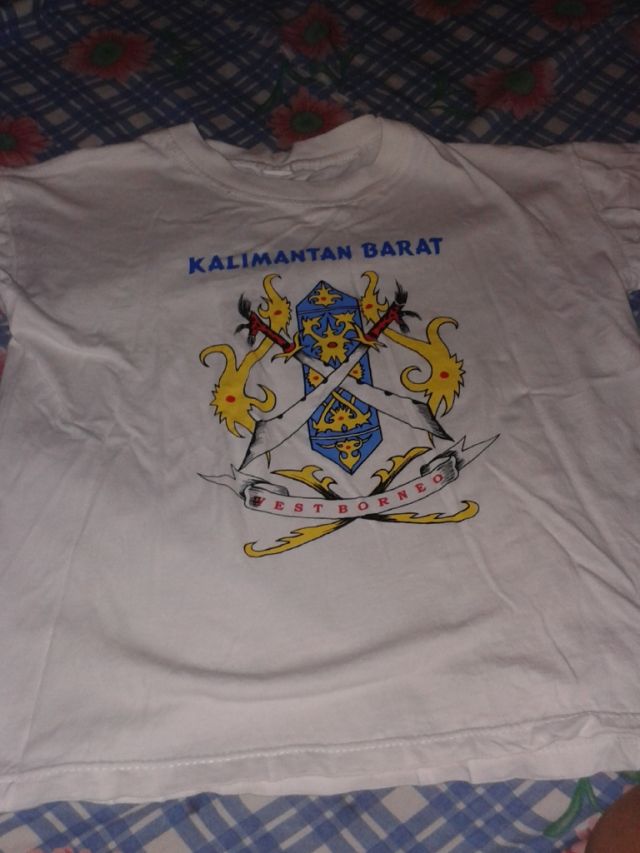 kaos daerah bisa jadi pilihan.Dokumen pribadi :