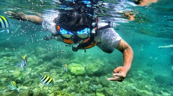 Snorkeling bersama ikan-ikan lucu~