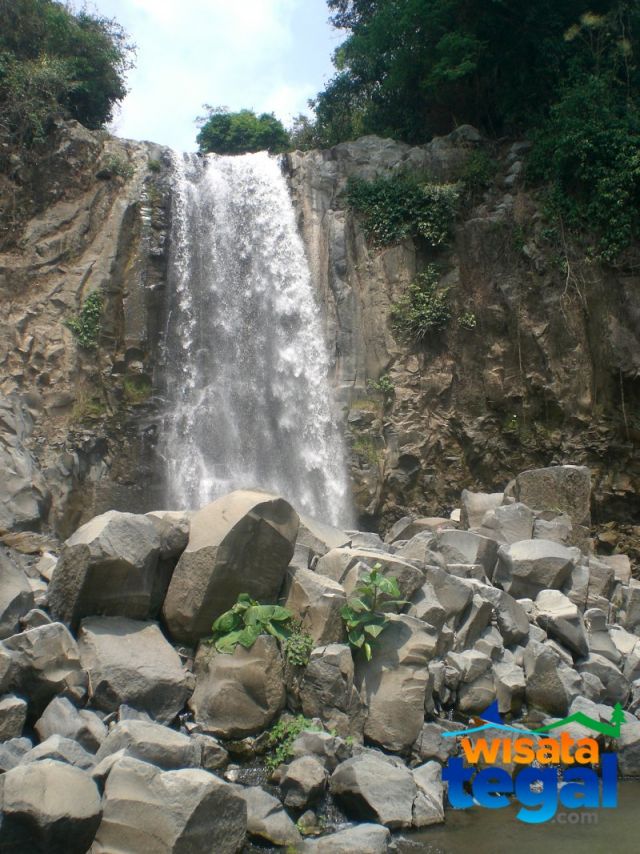 Curug Monyet