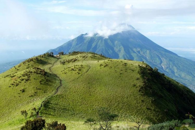 Menikmati Savana Gunung Merbabu