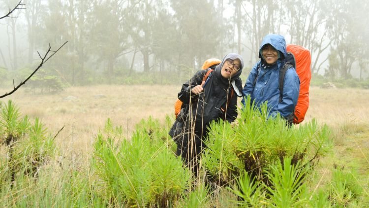 9 Gunung yang Bisa Kamu Daki Kapan Saja. Pas Hujan Juga Nggak Papa!