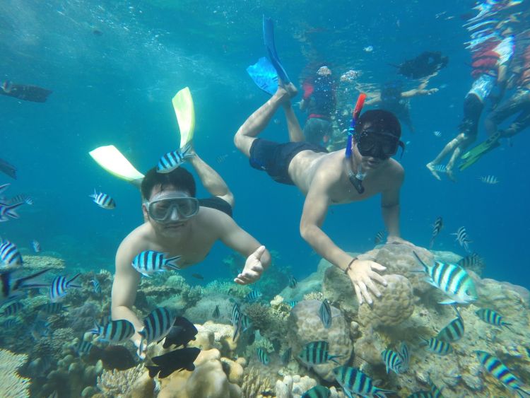 Snorkeling di Pulau Menjangan Kecil, Karimunjawa. Wani?