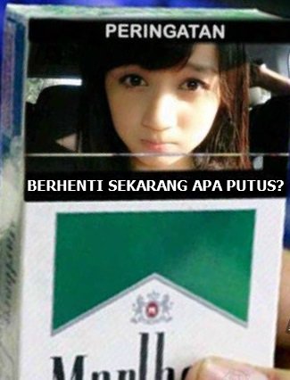 hayo mau pilih mana?