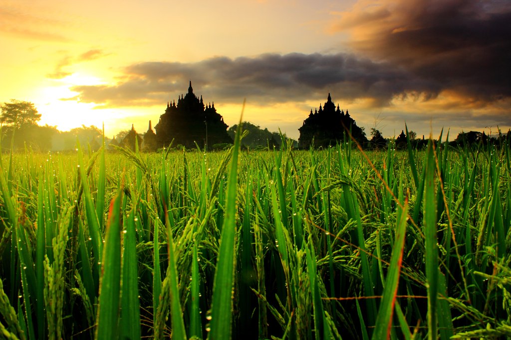 7 Spot Andalan Buat Melihat Sunrise di Jogja. Kapan Kamu Ke Sini?