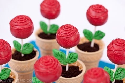 Pop cake buatmu yang hobbi berkebun.