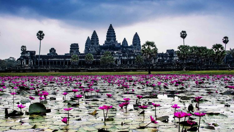 Puluhan ribu candi Budha tersebar. View dari bunga lili yang bermekaran.