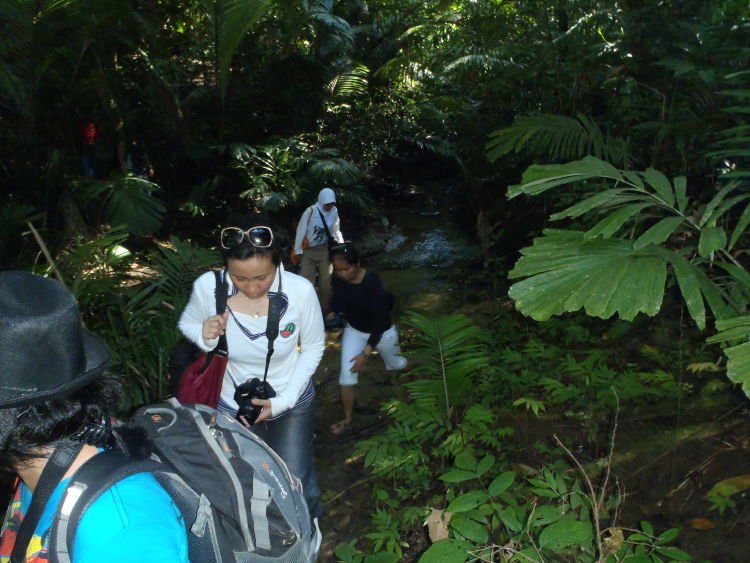 Jalan menuju sumber mata air panas Cibiuk.