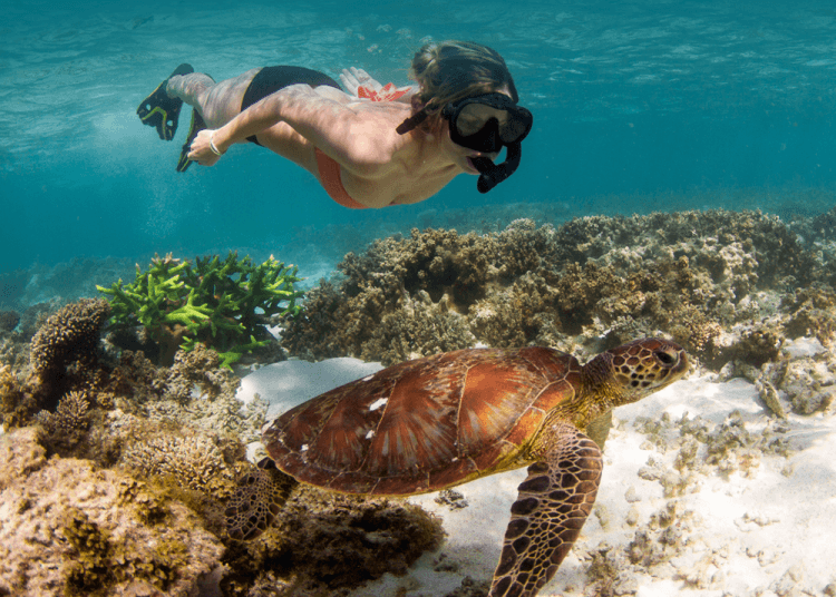 bawah laut ningaloo yang bikin betah