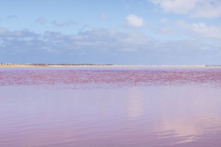 Pantai Pink via Tourism Australia