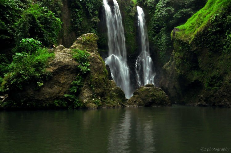 Rindangnya Blang Kolam.