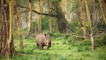 Nggak Cuman Badak Aja. Ada Begitu Banyak Destinasi Andalan Bagimu Untuk Traveling ke Ujung Kulon!