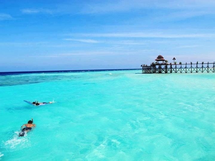 7 Aktivitas Seru Yang Bisa Kamu Lakukan di Kepulauan Derawan. Yakin Deh Bakal Bikin Kamu Enggan Pulang!