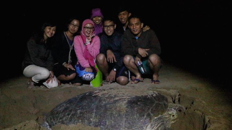 Belantara Meru Betiri dan Alas Purwo Harus Masuk Daftar Travelingmu. Karena Banyuwangi Nggak Cuma Kawah Ijen dan Pulau Merah