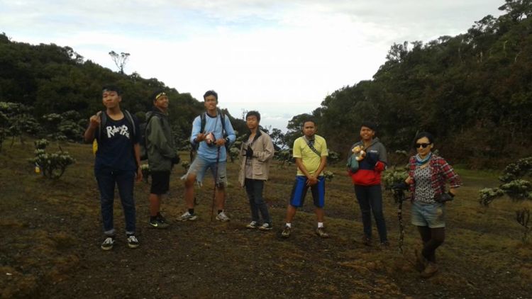 Manfaat Mendaki Gunung Bagi Kesehatan Tubuh dan Hiburan