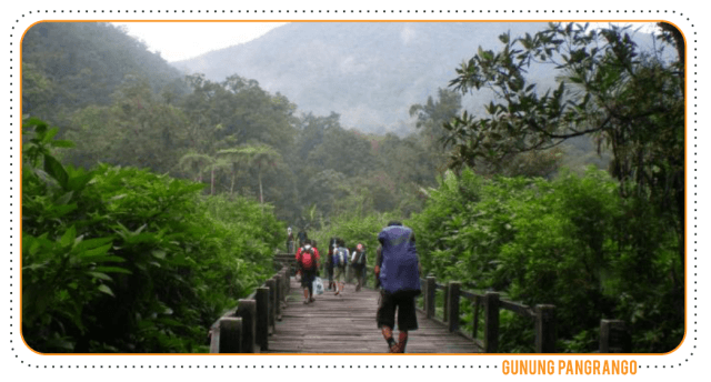 Gunung Gede Pangrango