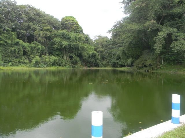 Kawasan Telaga Pacuh