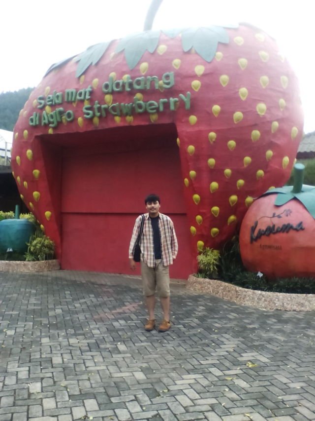 Agro Wisata Strawberry