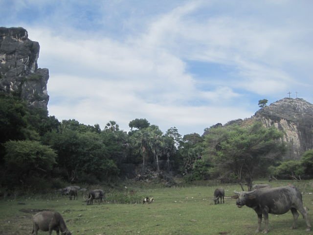 Bukit Termanu dengan pemandangan savananya