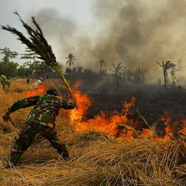 Sampai masuk Natgeo. :(