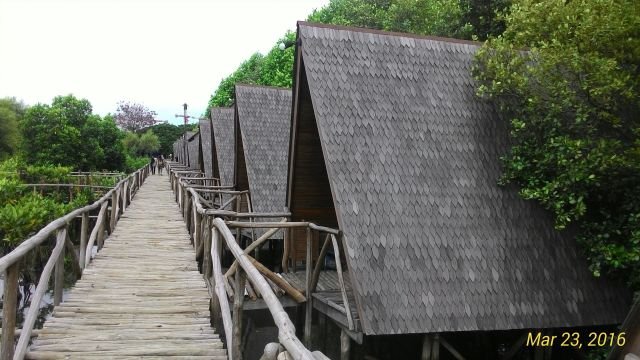 Rumah penginapan yang pengen bikin nginep disini