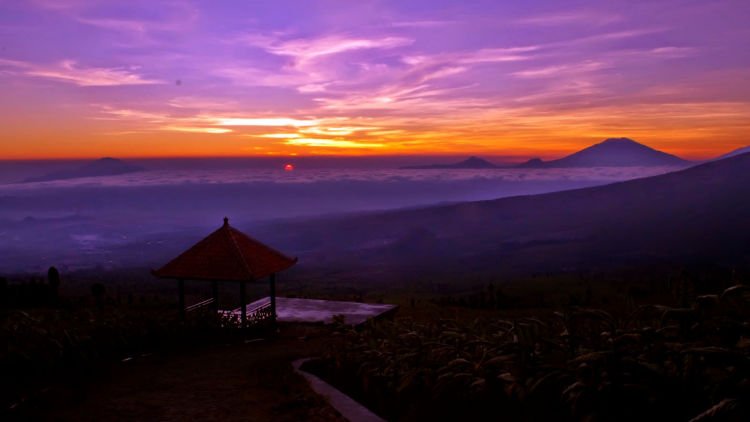 Coffe Stories; Cerita Cinta Dari Tanah Posong. Ini Plesirku