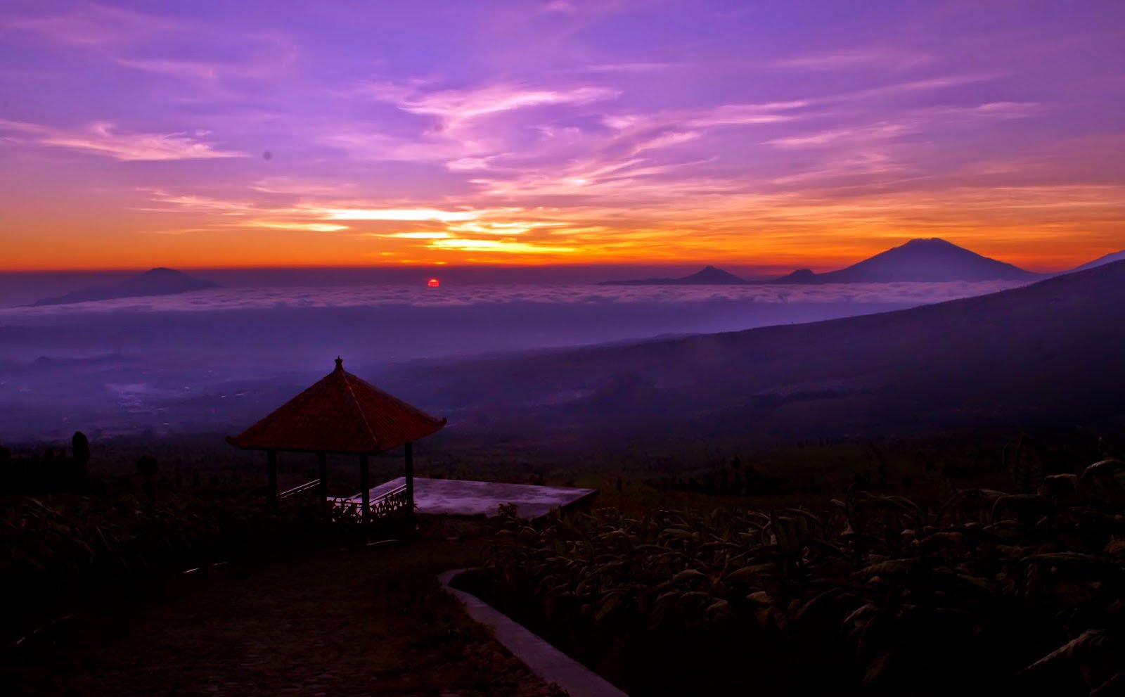 Coffe Stories; Cerita Cinta Dari Tanah Posong. Ini Plesirku