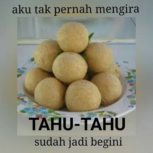 tahu bulat