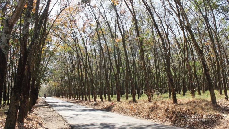 Tempat Wisata yang Keren Ini Sebenarnya Ada di Kabupaten Semarang