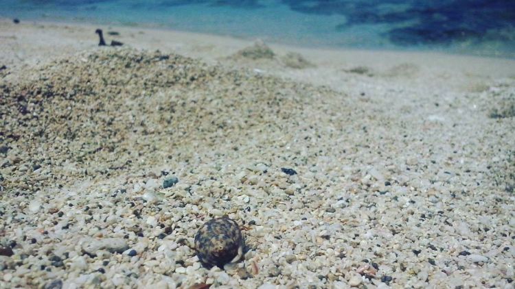 Inilah 5 Pantai Garut Selatan yang Gak Kalah Ciamik dengan Pantai di Luar Jawa Barat