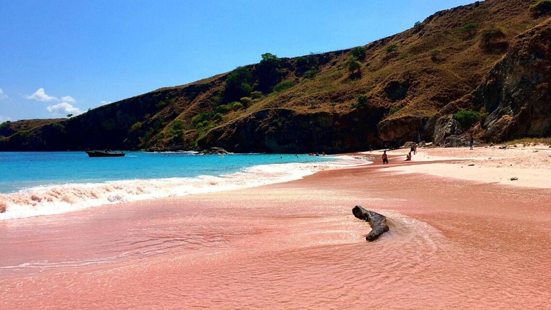 Pantai Pink di Pulau Komodo