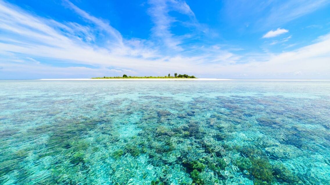 Taman Nasional Wakatobi untuk para penyelam