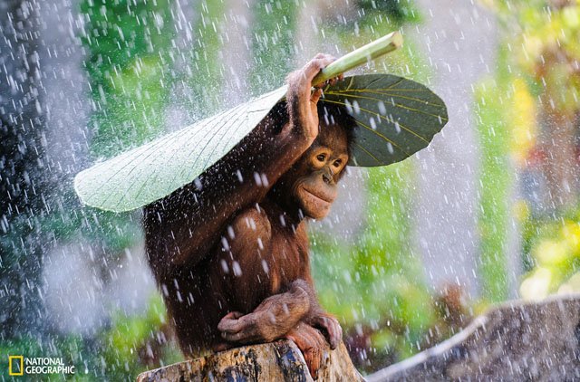 Inilah 12 Foto Traveling Terbaik Hasil Bidikan Fotografer dengan Latar Budaya dan Alam Indonesia. Mana yang Kamu Suka?