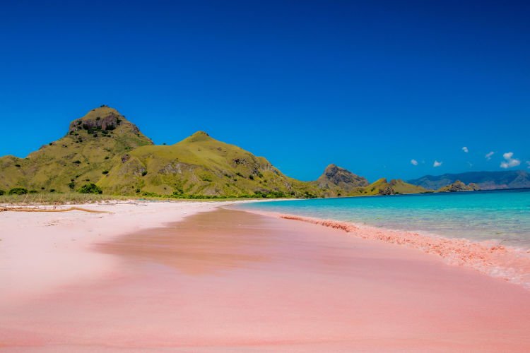 Yang pasir merah, jangan sampai lolos!