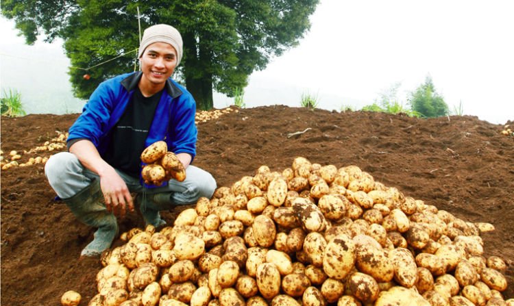 Petani muda generasi penerus bangsa