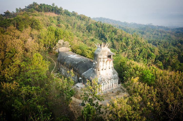 Ayam atau merpati sih?