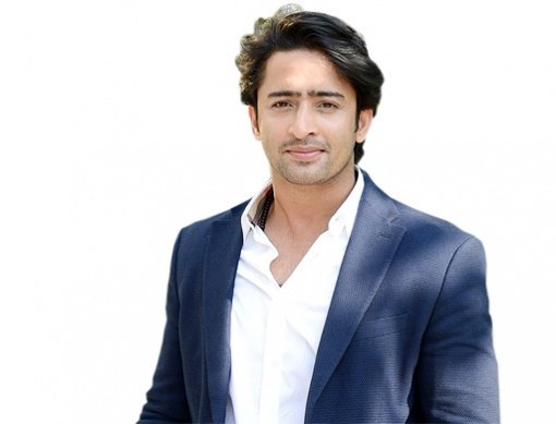 Shaheer Sheikh, aktor asal India yang tenar di Indonesia.