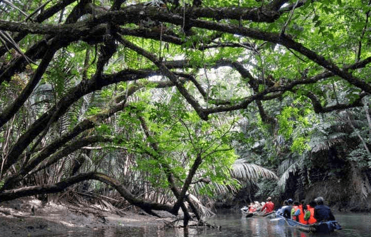 5 Hal Seru yang Bisa Kamu Lakukan di Pulau Peucang, Ujung Kulon