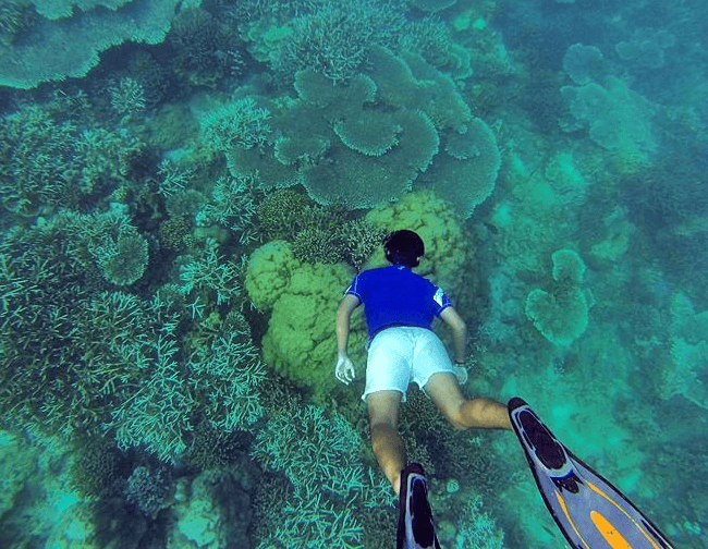 5 Hal Seru yang Bisa Kamu Lakukan di Pulau Peucang, Ujung Kulon