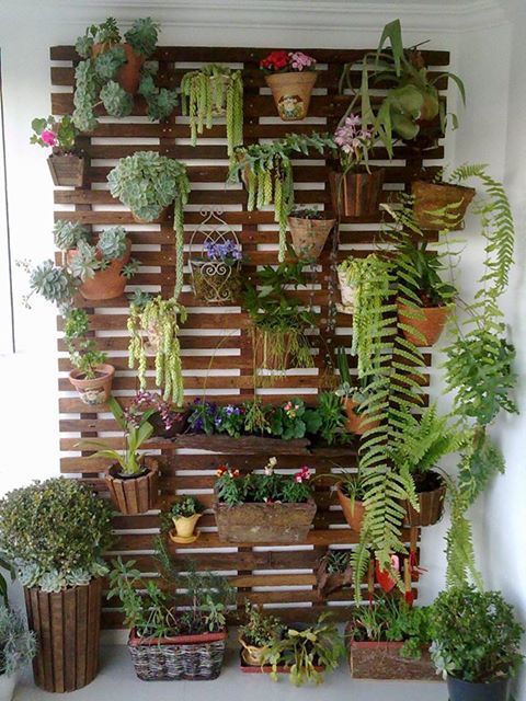 Vertical Garden Indoor & Outdoor Minimalis