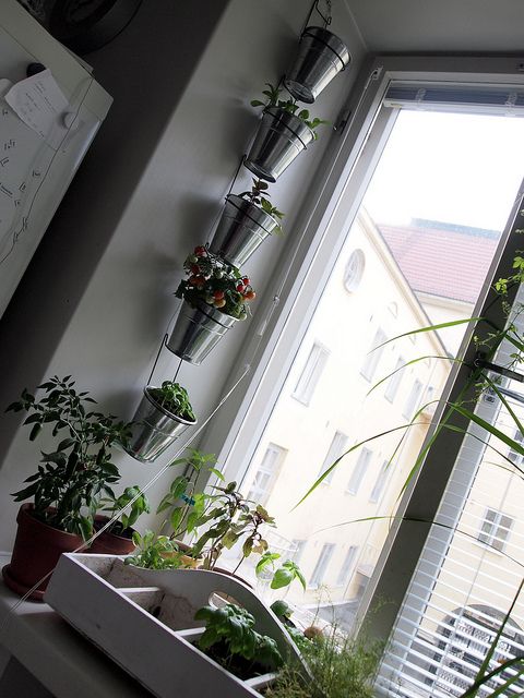 Vertical Garden Indoor & Outdoor Minimalis