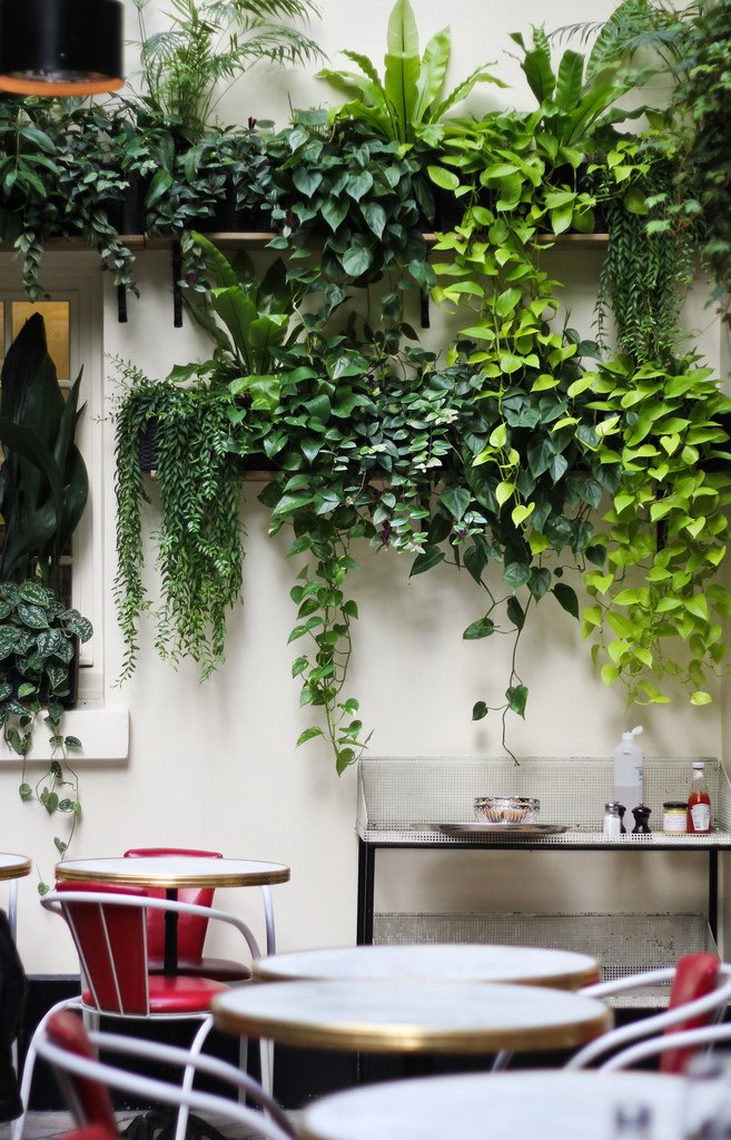 Vertical Garden Indoor & Outdoor Minimalis