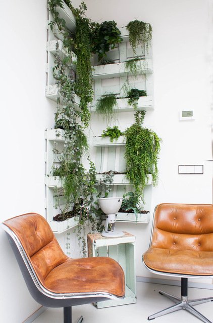 Vertical Garden Indoor & Outdoor Minimalis