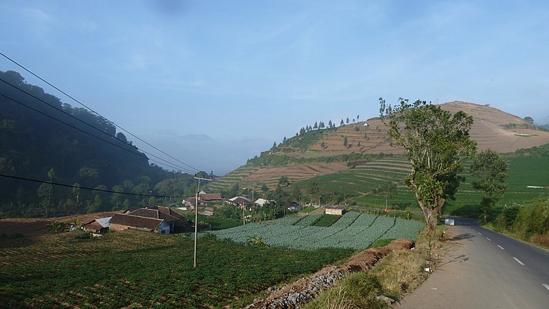 Patah Hati Bukan Untuk Diratapi, Traveling ke Destinasi Indah di Malang Ini Bisa Bikin Hatimu Terobati!