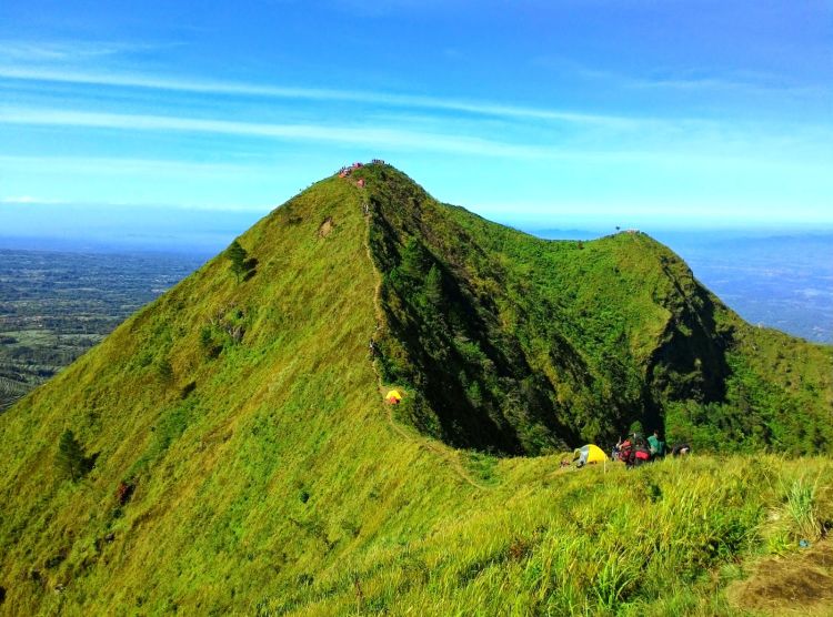 Punuk Unta, Andong.