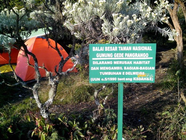 Larangan Pengambilan bunga