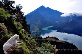 Melihat kaldera rinjani