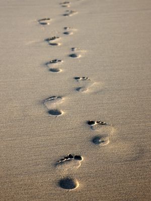 The times when you have seen only one set of footprints, is when I carried you